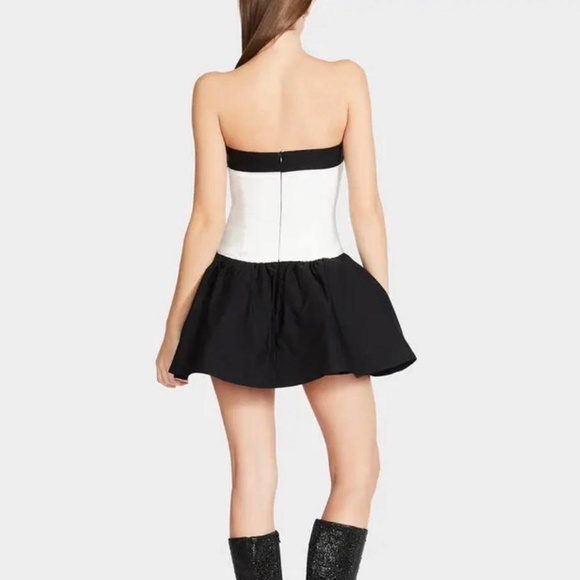 nwt, unworn - betsey johnson adoria rose mini dress - white black - size L - Picture 4 of 6